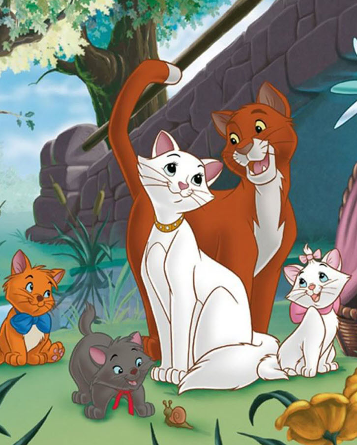 Аристомысықтар